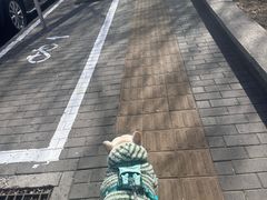 -纳吉亚猫专科动物医院博雅分院