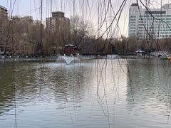 -莲湖公园