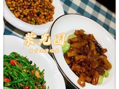 -紫光园·烤鸭·北京菜(劲松店)