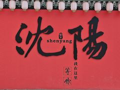 -中街·盛京龙城