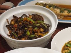 -天天鱼港·海鲜·鲅鱼水饺·招牌烤鸭(黄骅店)