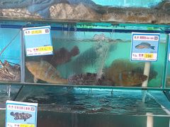水产区-琼大师东方烤乳猪(亚特兰蒂斯店)