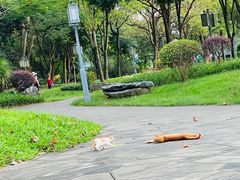 -顺峰山公园