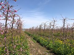 -兴芮温泉度假区