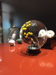 -奈瑞儿美颜塑身SPA