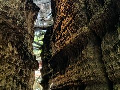 -梭布垭石林景区