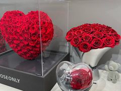 -ROSEONLY诺誓(沈阳万象城店)
