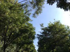 -乌龙峡谷景区