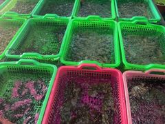 -众味海鲜大排档·活海鲜·潮汕味(南澳店)