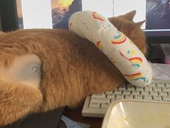 -艾贝尔宠物诊疗