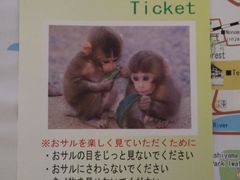 -岚山猴子公园