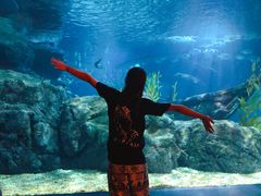 -暹罗海洋世界