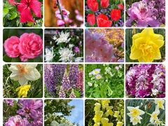 -上海滨江森林公园