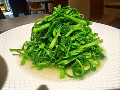 清炒空心菜-羊门客在·烤盐池滩羊·川菜