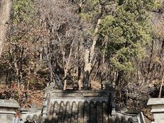-北京上方山国家森林公园