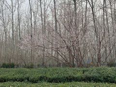 -仁和公园(顺义区)