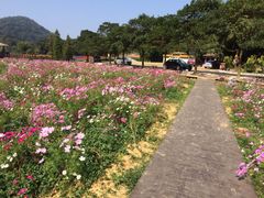 花间小道-广州市石门国家森林公园