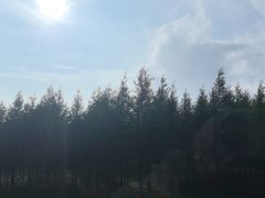 -御道口草原森林风景区