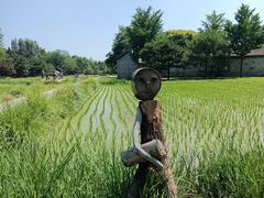 -北坞公园