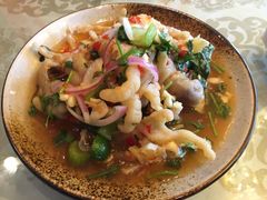 -金鸡湖高尔夫会员专属俱乐部