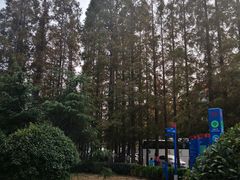 -汇泉广场