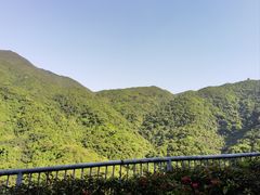 -梧桐山风景名胜区