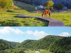 -大水川景区