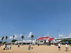 -碧海金沙