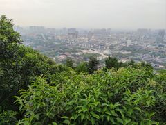 -华清宫景区
