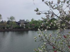 -无锡蠡湖国家湿地公园-蠡园
