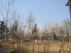 -北京麋鹿生态实验中心