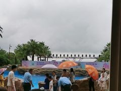 -长隆横琴湾酒店(珠海旗舰店)