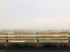 -湖州太湖旅游度假区-月亮广场