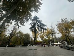 -莲湖公园