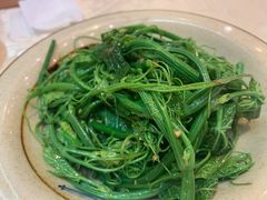 巧拌丝瓜尖-嘉陵楼馋嘴城(簋街总店)