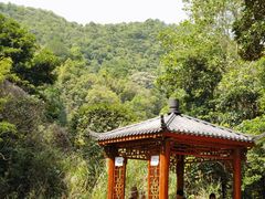 -马峦山郊野公园