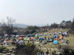 -铁山坪森林公园