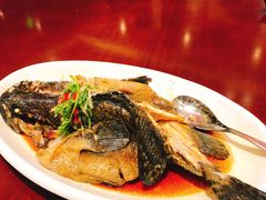 -青岛颐海花园酒店总店·自助餐厅