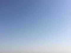 -兰山公园