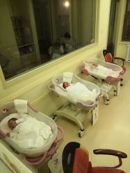 -皇家月府月子中心(沈阳店)