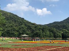-广州市石门国家森林公园