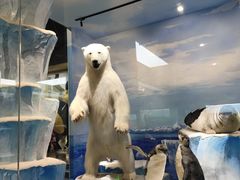 -国家自然博物馆