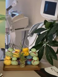 -东英经典SKIN&SPA