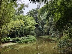 -大屏嶂森林公园