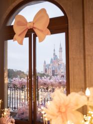 -迈瑞米求婚策划(静安店)