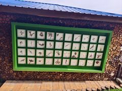 -苏木山森林公园