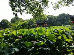 -丝绸小镇荻港古村