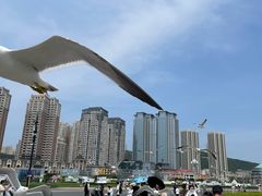 -星海广场