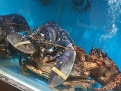 -盒马鲜生(红莲店)