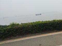-海鸥岛